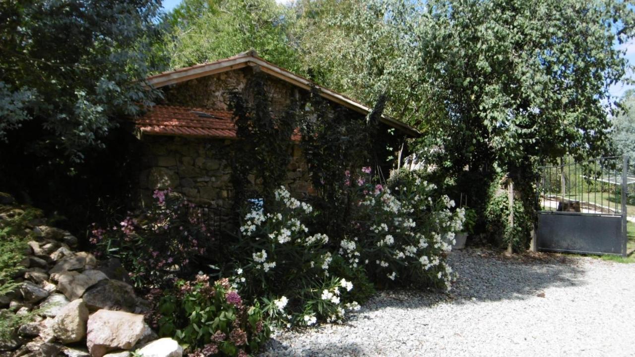 Bed and Breakfast Lazy Days Rancon Екстер'єр фото