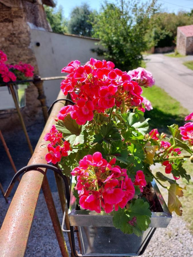 Bed and Breakfast Lazy Days Rancon Екстер'єр фото