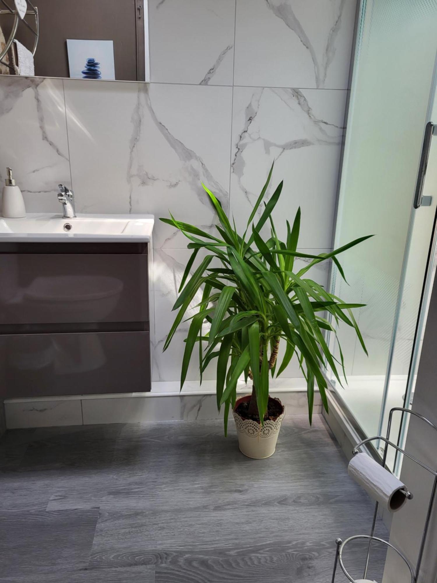 Bed and Breakfast Lazy Days Rancon Екстер'єр фото